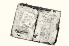 Lettice Coddlings Diary
