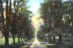 Kentwell-Hall-Lime-tree-avenue-circa-1900