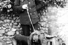 PC-Pooley-with-one-of-Mr-Ruses-bloodhounds.-PC-Pooley-later-became-an-Inspector-and-was-killed-in-Sudbury-while-trying-to-save-a-child-from-a-road-accident