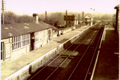 Copy-of-platform2