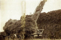 Baleing-Sheaves-on-a-farm-at-Long-Melford-circa-1910