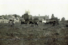1929-The-Green-with-cows-_-Bob-Younger-with-trade-bike-of-F-Segers-Butcher